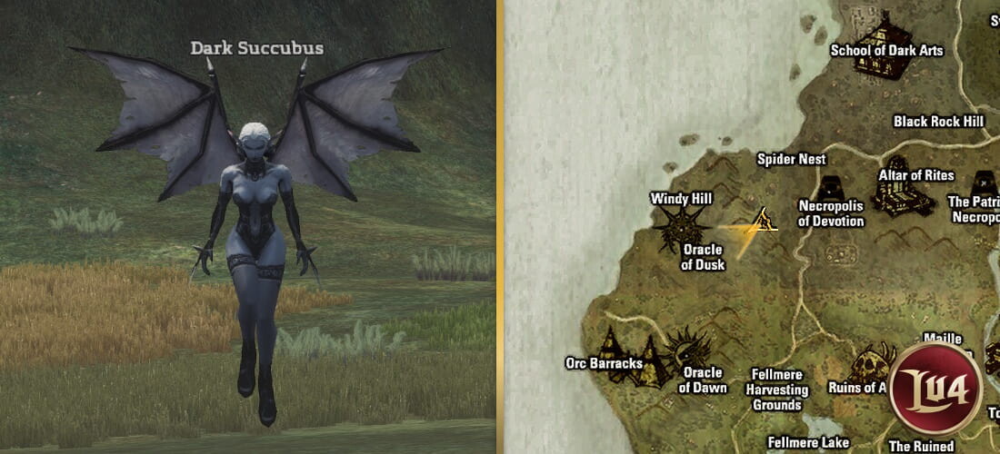 Dark Succubus l2