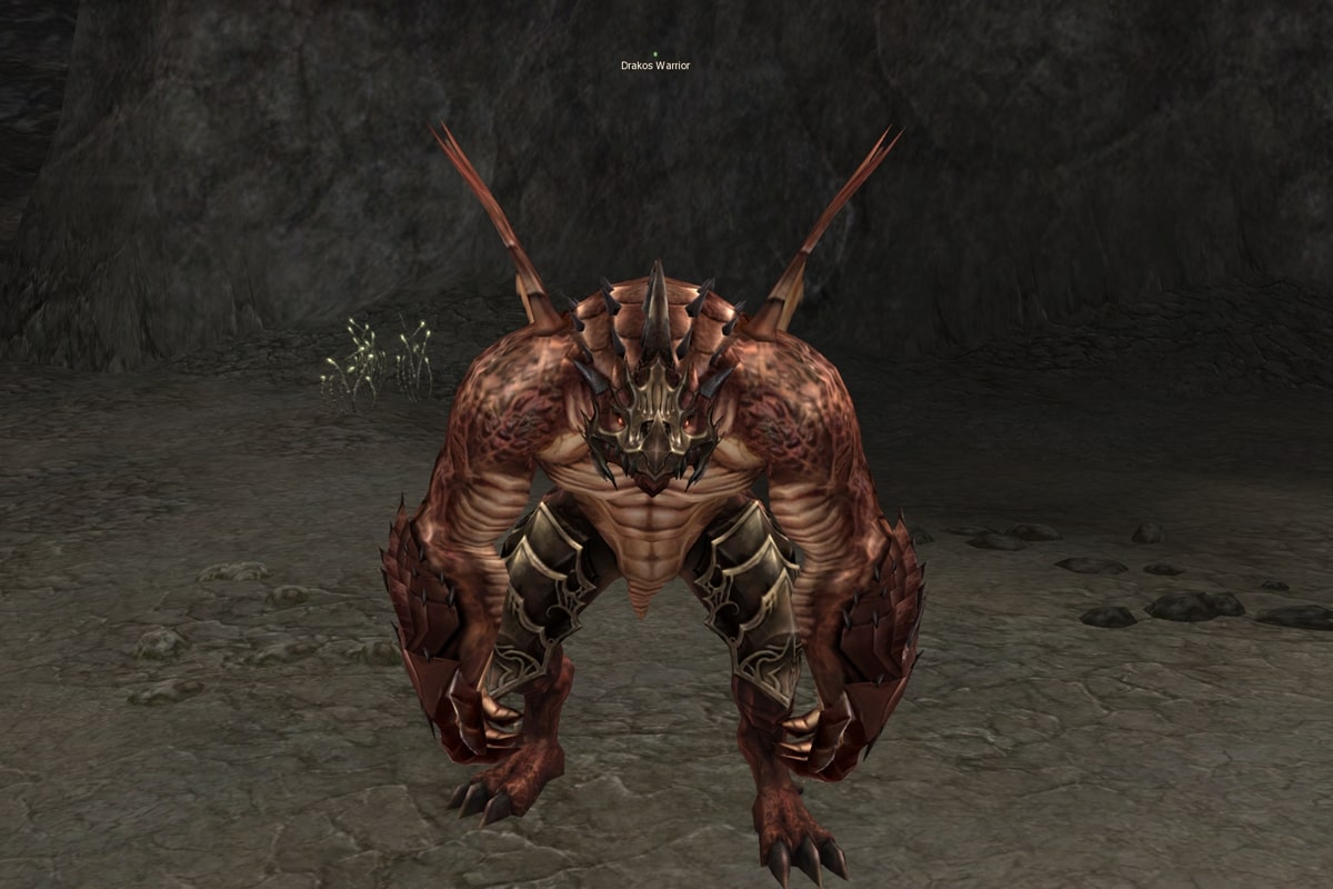Drakos Warrior l2
